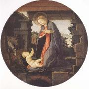 Madonna in Adoration of the Christ Child botticelli